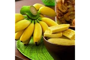 Benoon Bananensamen, 1 Beutel Bananensamen Süße Samen Mit Hoher Keimrate Frische Pflanzensamen Für Den Balkon Bananen