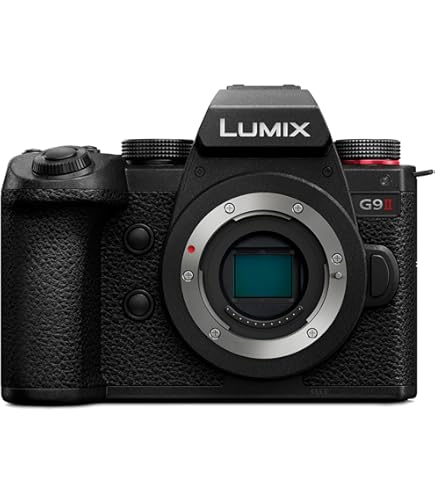 Panasonic Lumix H-RSA100400E Obiektyw Leica DG Vario-Elmar