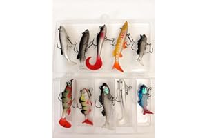 QIGEN LTD Soft Fishing Lures Kit 10pcs, Fishing Lures Baits Tackle Set for Freshwater Trout Bass Salmon Spinner Baits Plastic Artificial baits With Box