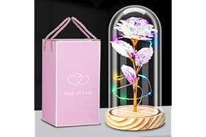HIGSPE Rosa Eterna, Bella e La Bestia, Rosa Stabilizzata Vera in Vetro, La Rosa in Vetro con Luci LED, Regalo per Festa della Mamma San Valentino Compleanno Matrimonio Natale