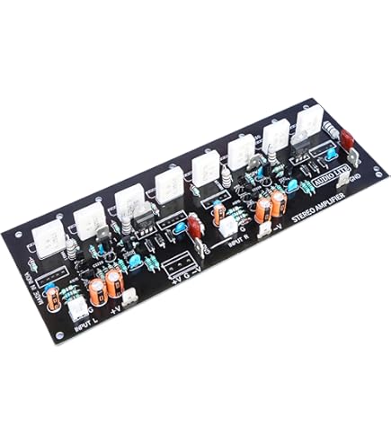 Lake People ASSA F49 アウトボード Lake People ASSA F49 アウトボード PCB and Electronics12V Speaker