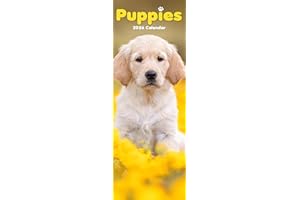 Puppies Slim 2026 Calendar | Slimline Wall Calendar | Dog Breed Gift | Plastic Free Packaging | by Avonside Publishing
