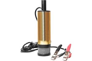 RYME AUTOMOTIVE Bomba Transferencia Combustible Diesel 24 V Filtro Bomba sumergible acero inoxidable Transferencia Líquidos, Gasoil, Aceite, Agua, Camión, agrícola, Acuarios, Caravana, Barcos