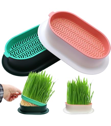 Katzengras Pflanzgefäß Set – 3er Pack, Erdloser Anbau, Einfach Zu Reinigen Für Hauskatzen