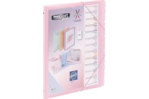 Viquel - Trieur 12 compartiments A4 personnalisable Propysoft - Fermeture élastique - Rose translucide