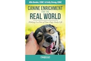Canine Enrichment for the Real World: Making It a Part of Your Dog’s Daily Life