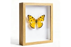 WenYa 6x8 Shadow Box Frame, 17x22.1cm 3D Photo Frame, Memory Box Frame for Memorabilia, Photos, Awards, Medals and Crafts (Oak, 6x8-Hollow 3cm)