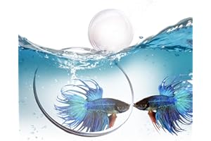 HIGYEE Espejos Para Peces Betta - Espejo De Entrenamiento Betta | Espejos Para Peces Betta, Juguetes Con Espejos Para Ejercicios Betta, Adornos Temáticos Para Acuario | Decoración De Espejo De Tanque Betta
