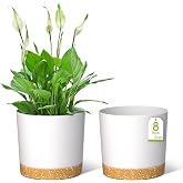 ZMTECH 20cm Flower Pot, Plastic Flower Pot with Drainage Holes for Succulent Plants, Herbs, Orchids, Mint and Other Garden Pl