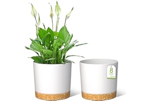 ZMTECH Pots de Fleurs de 20cm, Jardinières Modernes avec Trous de Drainage et Soucoupe Détachable, Pots de Fleurs en Plastique pour Plantes d'Intérieur et de Jardin (Blanc, Lot de 2)