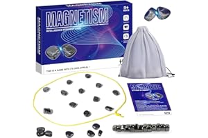 SHENGRUILI Schachbrett Magnetisch,Kampfschach Mit Magnetisch,Tragbares Schachbrett-Party,Magnetic Schachspiel,Tragbares Magnetschachbrett,Tisch-Magnetspiel,Puzzle Checkers Spiel Für Familientreffen