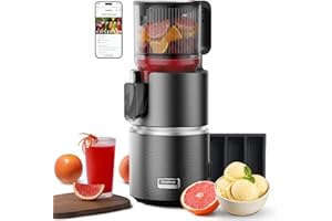 Anybear Cold Press Juicer with 4.9" Large Feed Chute, 350W Masticating Juicer Machines with Dual Slow-Squeezing Technology for Whole Fruits & Veggies with High Yield | BPA-Free Tritan (Grey & Silver)