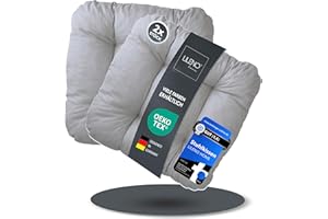 LILENO HOME Lot de 2 coussins de chaise - Gris clair - 38 x 38 x 8 cm - Pour chaise de jardin, cuisine ou salle à manger - Confortables - Résistants aux UV - Pour l'intérieur et l'extérieur