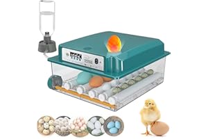 OAMGER Incubadora Huevos Gallina 10-16, Incubadora de Huevos para Gallina, Codorniz, Pato, Incubadora Automática con Control de Temperatura, Indicador de Humedad, Volteador Automático de huevos