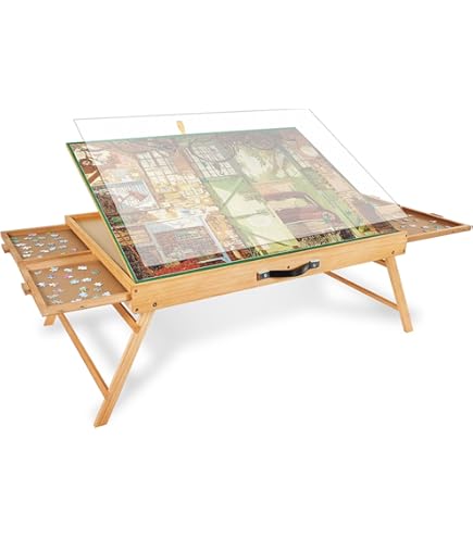 PLATEAU DE SERVICE De Nourriture De 3 Compartiments Plateau De Plat De