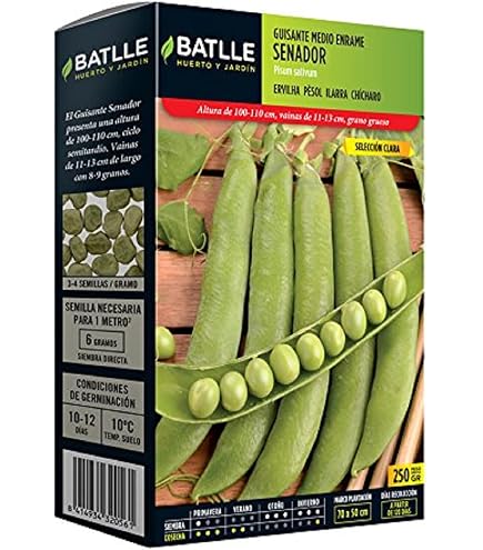 Lotto di 50 semi di pisello da giardino Petit Provençal - Dolce, tenero e succoso - Facile da coltivare per i principianti - 100% naturale - Garanzia di germinazione