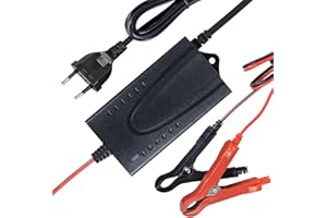 YANGZIDIANYUAN Chargeur De Batterie 14,6V 1,5A LiFePO4, Chargeur De Batterie Au Lithium 12,8V LiFePO4, Chargeur De Batterie Intelligent 12V pour Voitures, Motos, Voiturettes De Golf, Drones, Bateaux De Pêche, BMS