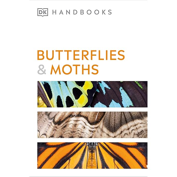 Butterflies & Moths, The World Encyclopedia of : Morgan, Sally