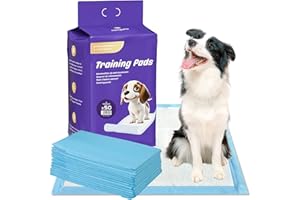 Nanipets® Training Pad for Dogs, Puppy Pads, Super Absorbent & Leak-Proof Changing Mats, 45 x 60 cm, Extra Large, Thick Pet Pads, Pack of 50