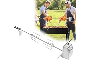 LARS360 Lot de 2 brochettes de Barbecue en Acier Inoxydable 107 cm avec 2 Aiguilles à Viande, Manche et Moteur en Acier Inoxydable 220 V-240 V, pour tournebroche pour Barbecue à gaz, rôtisserie