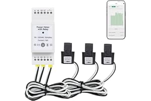 PAWMATE Tuya Moniteur d'alimentation intelligent sur rail DIN avec relais, tension en temps réel, courant, facteur de puissance, mesure active de la puissance et de la fréquence, compatible