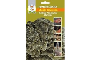 Portal Cool Nails micelio (1 Sacco da 20 Nails) Fungo Grifola Frondosa - Custom