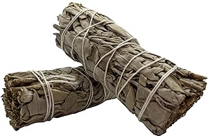 HOSTENATURA 2 Atados Salvia Blanca de California | Ecológico y Sostenible | 100% Original | Purificación, Limpieza Energética y Armonía | 10cm | 2 Unidades