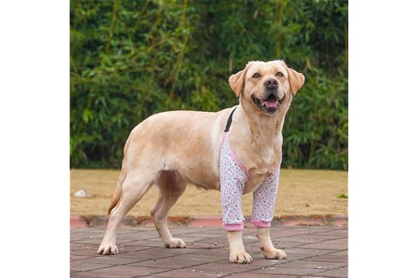 Dog Elbow Protector Pad, Dog Elbow Protector for Calluses, 2XL Dogs Recovery Suit for Front Legs, Soft Recovery Sleeves with Elastic Band, Knee Brace Protector Pads for 27-42kg Dogs (Flower)