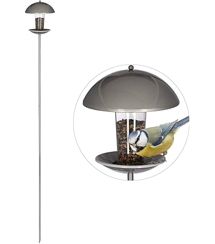 Top 10 vogelvoederhuisjes - de beste voederstations vanaf 12 euro