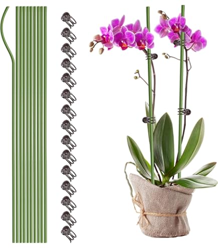 30 Pali Da Giardino 40 Cm Con Tubi Di Collegamento: Tutori Per Piante In Acciaio Rivestito, Antiruggine, Per Orto E Giardino - 2