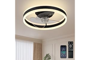 DIISUNBIHUO 40 cm LED Deckenventilator mit Licht, dimmbar 3 Farbtemperaturen, 2×24W LED, leiser umkehrbarer DC-Motor, 3 einziehbare Flügel, Fernbedienung mit Timer & Speicherfunktion, Acryl/ABS, Schwarz