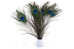 PACOLO Plumes de paon naturel réel 10-12 "(25 ~ 30cm) Grand mariage Noël Halloween Décorations Décoration de la maison (10pcs-Natural)