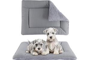 BVAGSS Cuscino per Cane Reversibile, Materassino per Cani Lavabile, Tappetino Letto Lavabile per Animali Domestici Adatto XH080 (76x50cm,Grigio)
