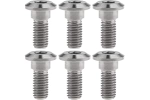 Ruifu Titanio M8 Rotor de freno de disco Gr5 Ti Tornillos 20 22 30 33 mm para motocicleta Yamaha Suzuki (Pack de 6)