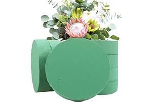 AKOLAFE 8 spugne Rotonde da 16,5 x 4 cm in Schiuma per Fiori Verdi, per Fiori freschi, Piccole schiume Floreali per Il Fai da Te per Matrimoni, Compleanni, Giardini, Appartamenti