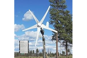 KX-ENERGIE 500W Horizontal Windkraftanlage 12V 24V Windturbinen 3-Phasen Generator 5-Blätter Windgenerator Komplettanlage für Stromergänzung,mit MPPT Laderegler (12, Volt)