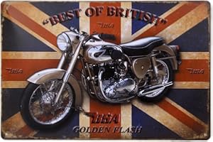 CUTEFLY Placa de metal vintage de 20 x 30 cm, placa de arte de pared, cartel de café, bar, pub, motor # 2