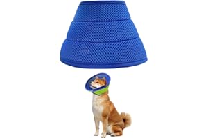 HDGSAFD Collare per Animali Domestici 1 Pezzo, Collare Protettivo per Cani E Gatti, Cono per Cani per Il Recupero Postoperatorio, Articoli per Animali Domestici