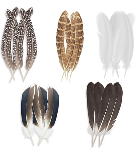 30 Plumes De Faisan Naturelles 15-22cm Pour Artisanat Et Loisirs Créatifs