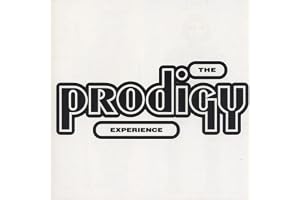 The Prodigy Experience