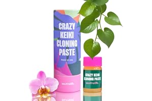 Klondeg Orkidéer Odla din egen Phalaenopsis Keiki Orchid i veckor- speciellt cytokinin, snabbväxande B1-vitaminer för att utö