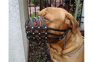 L&J PETS UK Bozal de cuero ligero para perro de Burdeos, Bullmastiff y otros