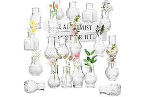 ZYLUNIY Juego de 20 Jarrones Pequeños de Cristal, Mini Jarron Cristal Juego de Floreros, Jarrones Decorativos Vintage, Centros de Mesa para Decoración del Hogar Salón y Boda Floreros para Rosas