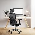Frido AeroMesh Ergo Chair | Adjustable Armrests & Headrest | Lumbar Support | Breathable Mesh Back Fabric | Customizable Seat Depth & Height | Office Chair for Work & Study |120 kg Capacity | Black