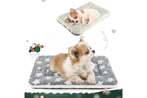 MORA PETS Dog Bed Mat Small Washable Dog Crate Mattress for 22 inch Cage Soft Flat Pet Cushion Bedding Puppy Pillow Blanket for Cats Puppy Dogs Reversible 53x31cm Grey