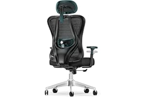 naspaluro Silla de Oficina, Silla de Escritorio Ergonómica con Reposacabezas Ajustable y Soporte Lumbar, Reposabrazos Ajustable 3D, Ajuste de Altura, Silla Giratoria, Carga Máxima de 150kg, Negro