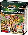 Sommerblumenmischung (ohne Gräser) NEU
