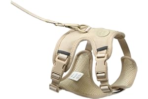 LucyBalu® Explorer Katzengeschirr mit Leine | ausbruchsicheres Katzengeschirr mit AirTag Fach | Katzen Brustgeschirr mit Katzenleine | Sicherheitsgeschirr mit Leine für Katzen | Sand XS/S