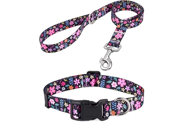 Mihqy Collier pour Chien et Laisse, Motif Tendance avec Boucle à dégagement Rapide, Bohème, Fleur Design, Collier Classique, pour Petits, Moyens et Grands Chiens(Floral Set,XS)