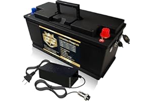 PUPVWMHB 12V 100Ah LiFePO4 Lithium-Akku, Tiefzyklus 12V 100Ah Lithium-Batterie mit integriertem 100A-BMS, 100Ah LiFePO4-Batterie geeignet für Trolling-Motor Akku, Solarbatterien, Wohnmobilen, Camping